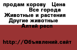 продам корову › Цена ­ 70 000 - Все города Животные и растения » Другие животные   . Алтай респ.